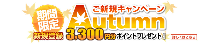 夏のご新規キャンペーン3300円分プレゼント